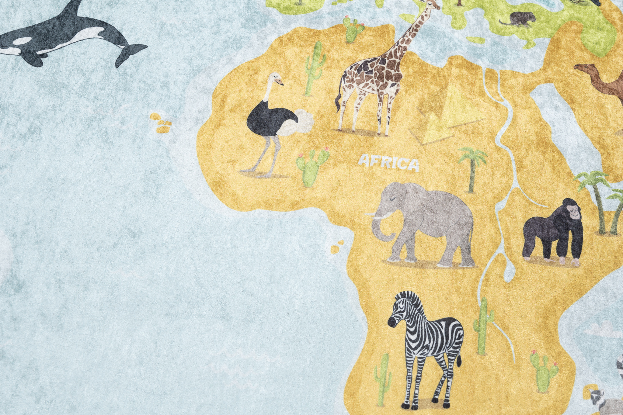 Alfombra Infantil Emma Mapa del Mundo Multicolor Antideslizante