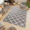 Alfombra Boho con Borlas Gris Trellis Shaggy
