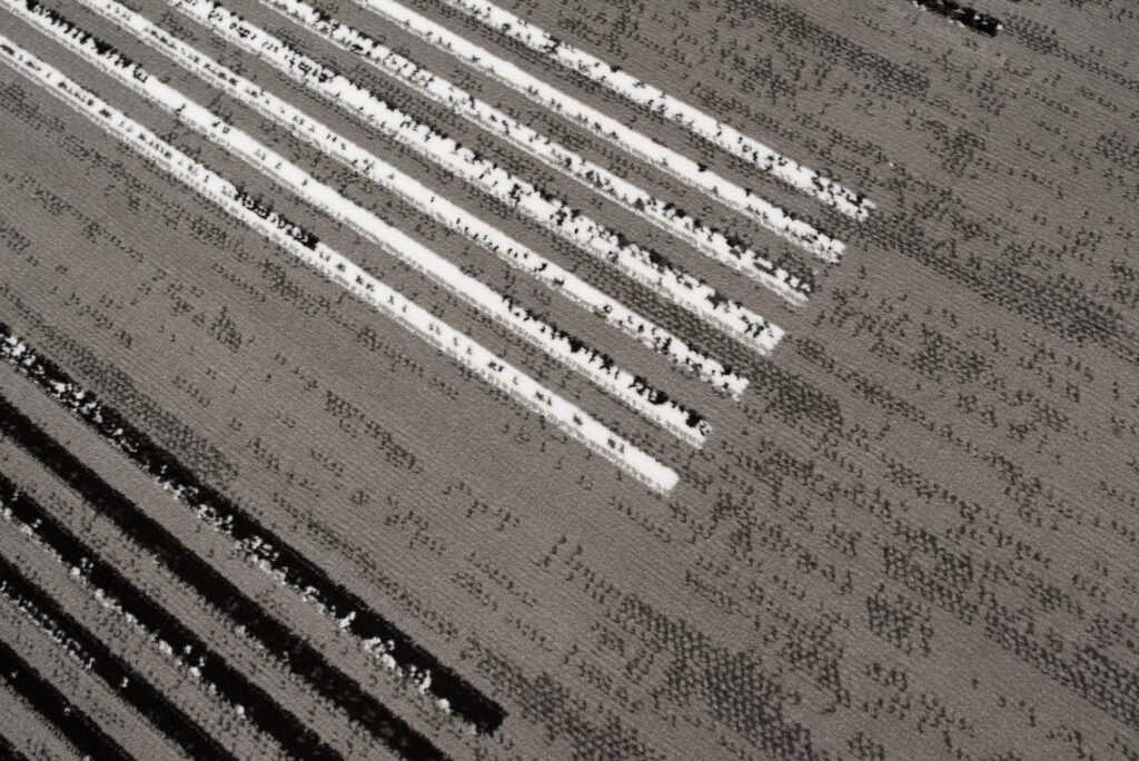 Alfombra Luxury Gris Geométrico Rayas