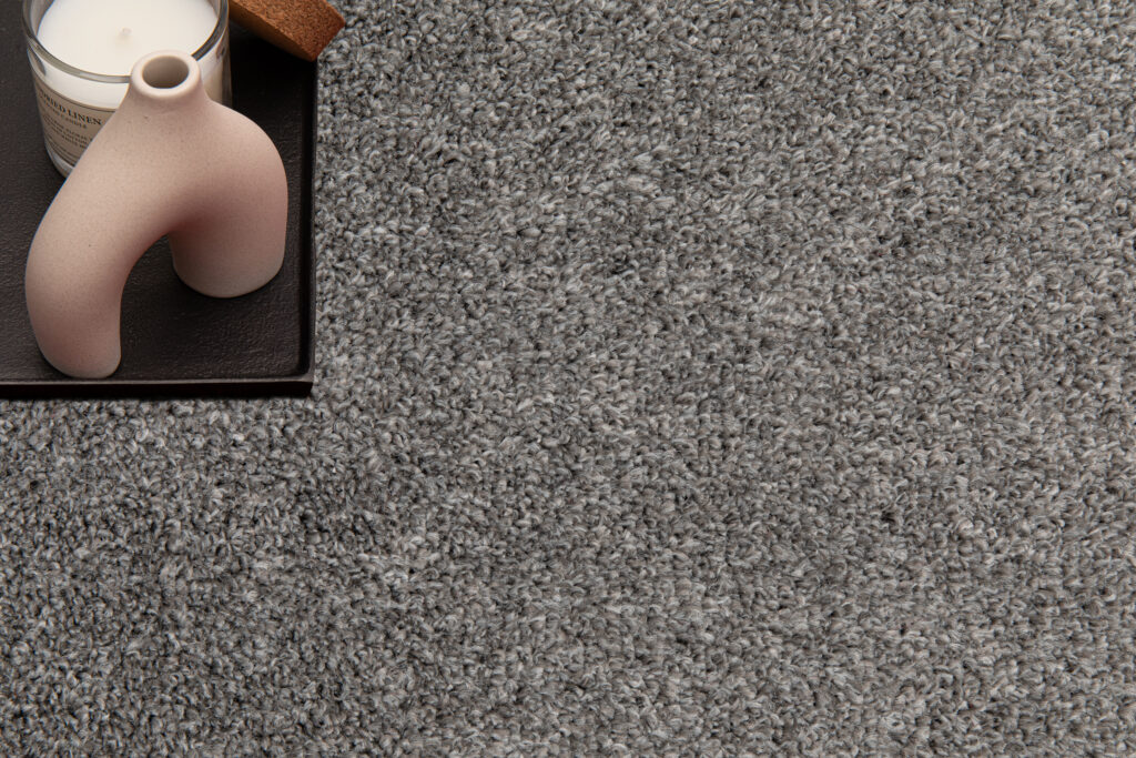 Alfombra Noyan Gris Plata Moderno Antideslizante
