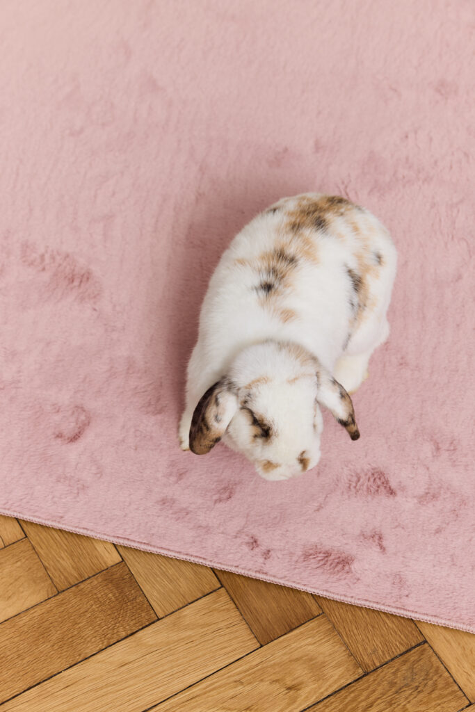 Alfombra Lumi Cuadrada Rosa Antideslizante