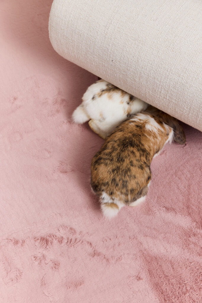 Alfombra Lumi Redonda Rosa Antideslizante