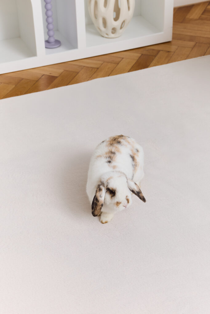 Alfombra Lumi Crema Antideslizante